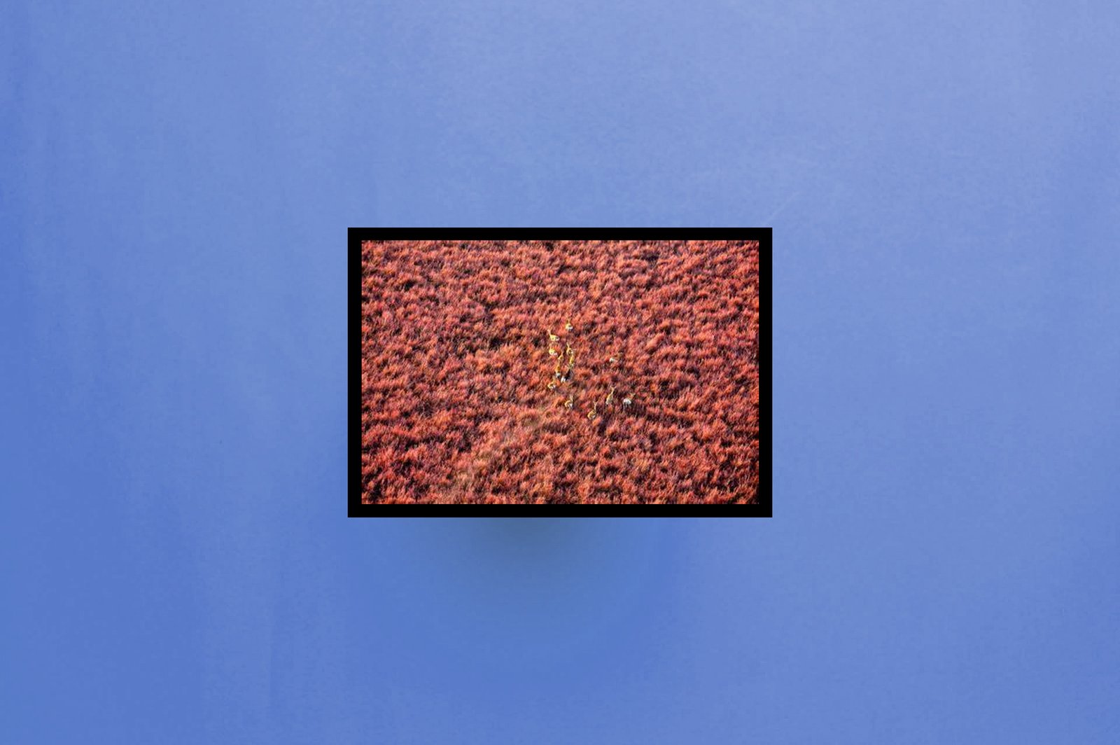 meilleurs peintres indiens