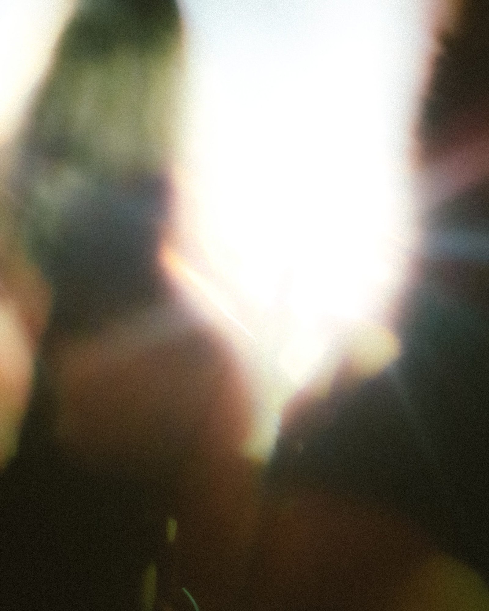 Transcendance profane.