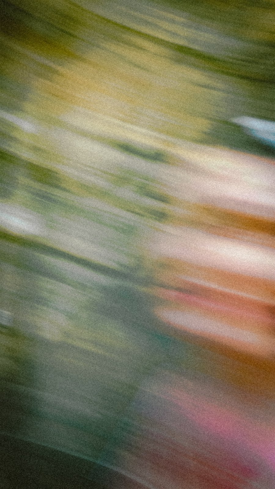 Transcendance profane — séquence 007.