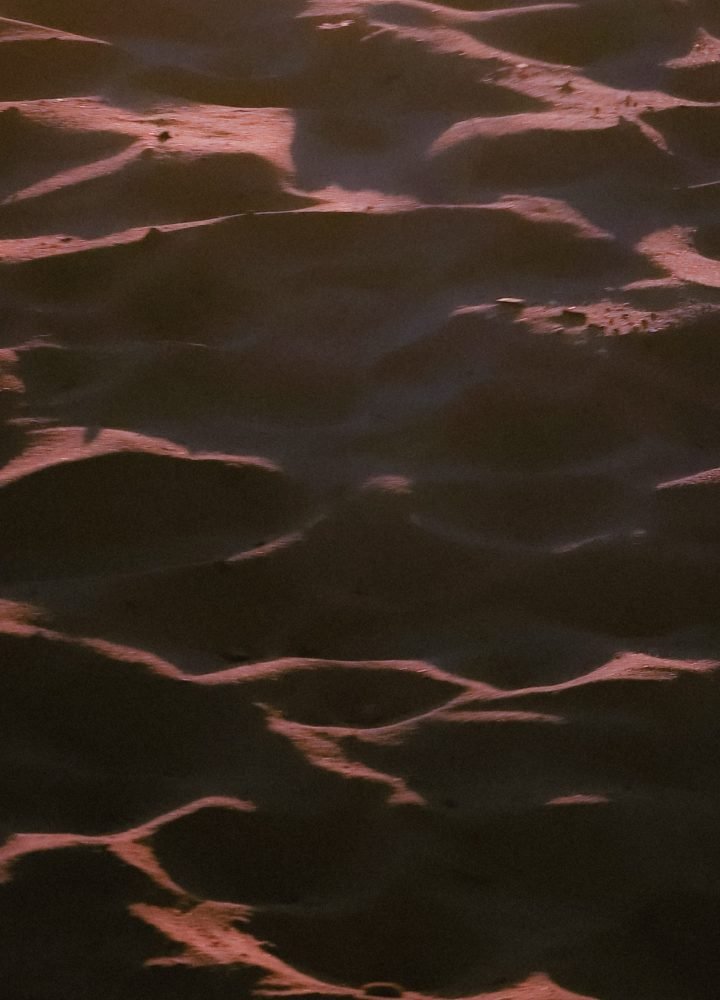 portrait.00_06_18_1.Still100