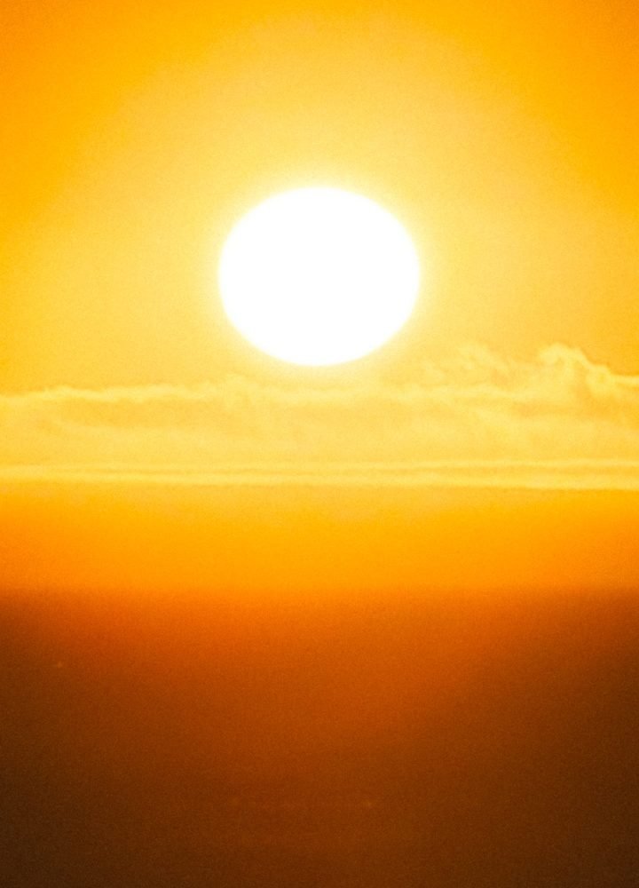 portrait.00_04_06_4.Still079