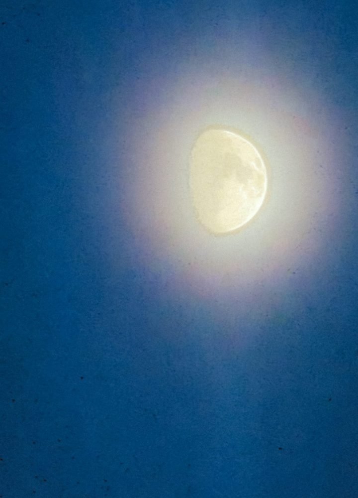 portrait.00_07_11_4.Still117